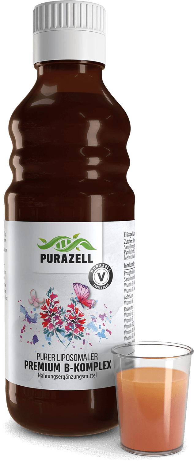 Purer-Liposomaler-B-Komplex