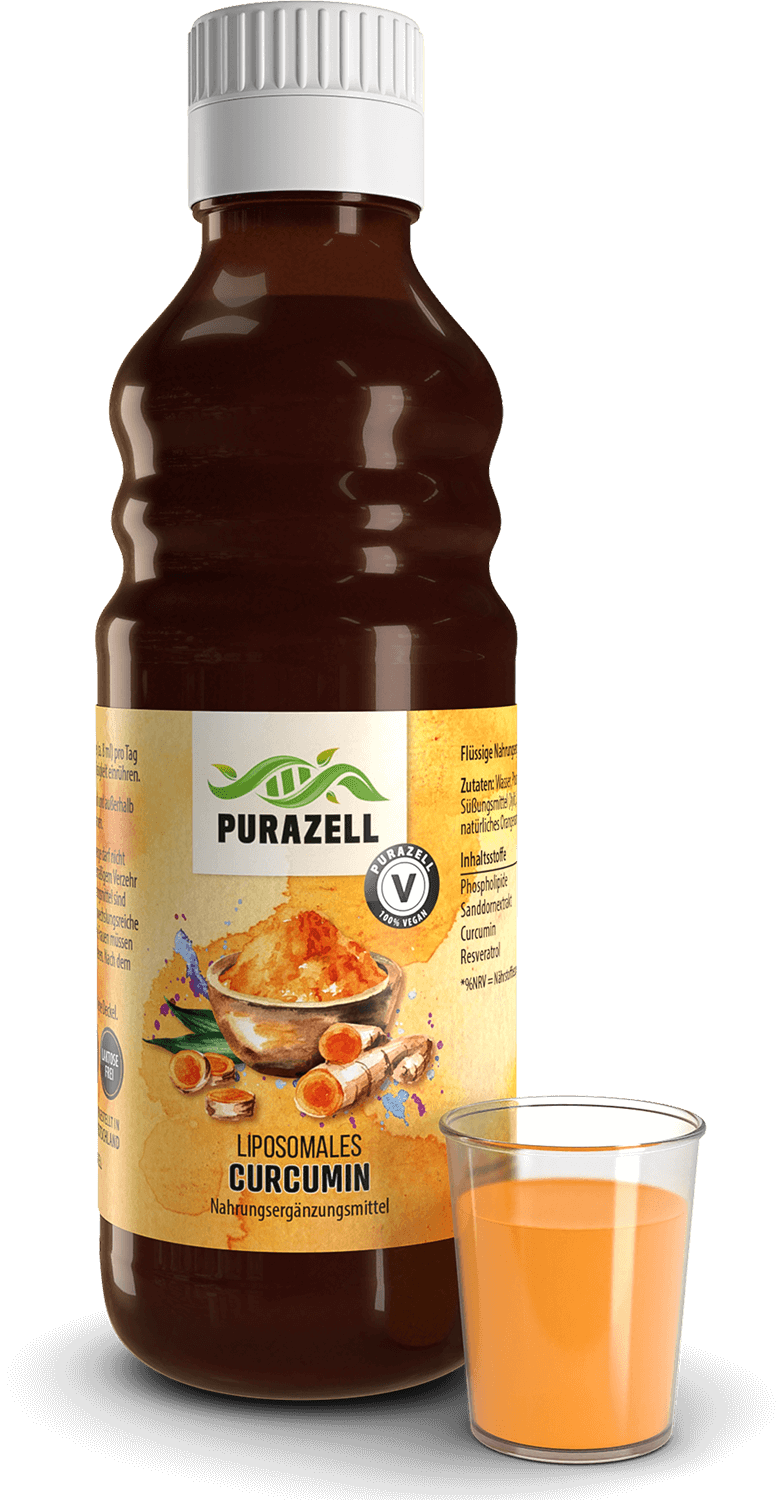 Liposomales-Curcumin